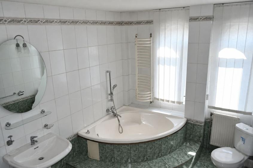 Spațiu comercial, de 903.46002197266 mp, în Bucium