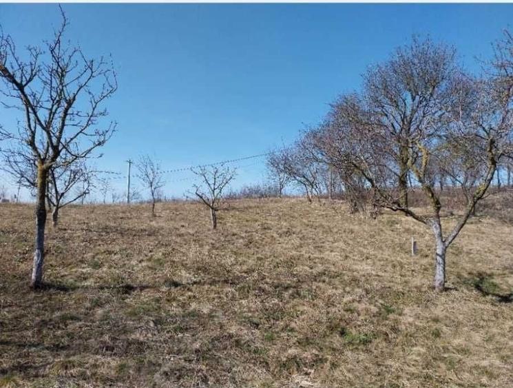 Teren intravilan 1163 mp | Aiton, Cluj | CF + CU | Priveliste panoramica | 18 km Cluj - 2
