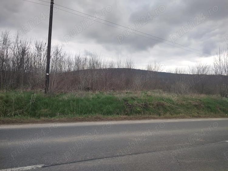 Teren de 7500 mp, în Poieni