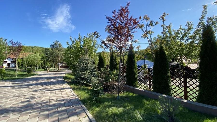 Casă cu 4 camere cu Teren 6000 Mp în Bărăi