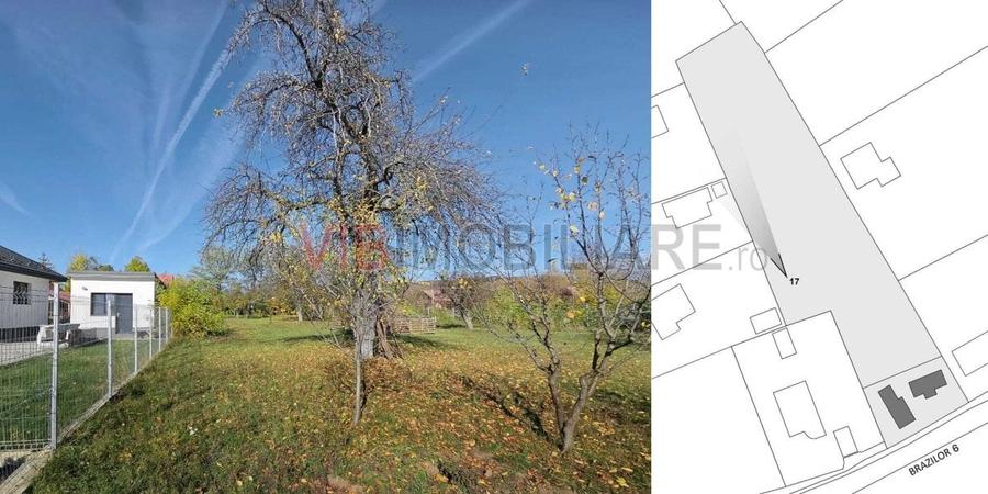 Teren intravilan BREBU MANASTIREI 3163 mp - 9