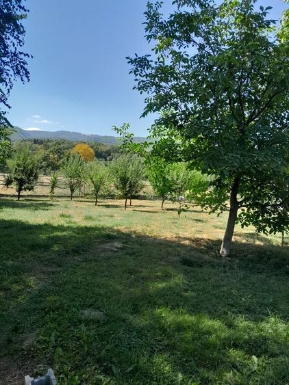 Teren de 1000 mp, în Sadu