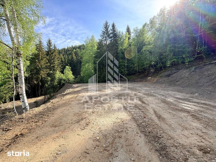 Teren de 18000 mp, în Central