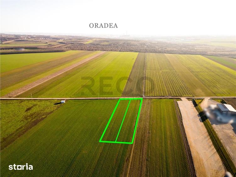 Teren de 5500 mp, în Biharia