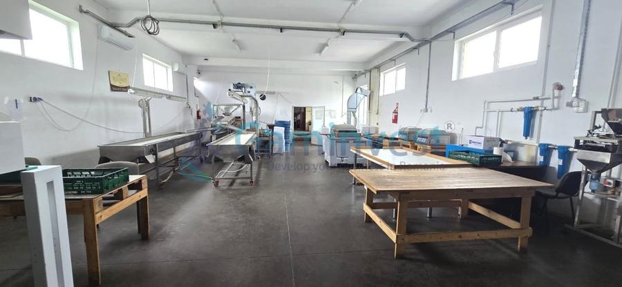 Spațiu industrial, de 560 mp, în Apateu