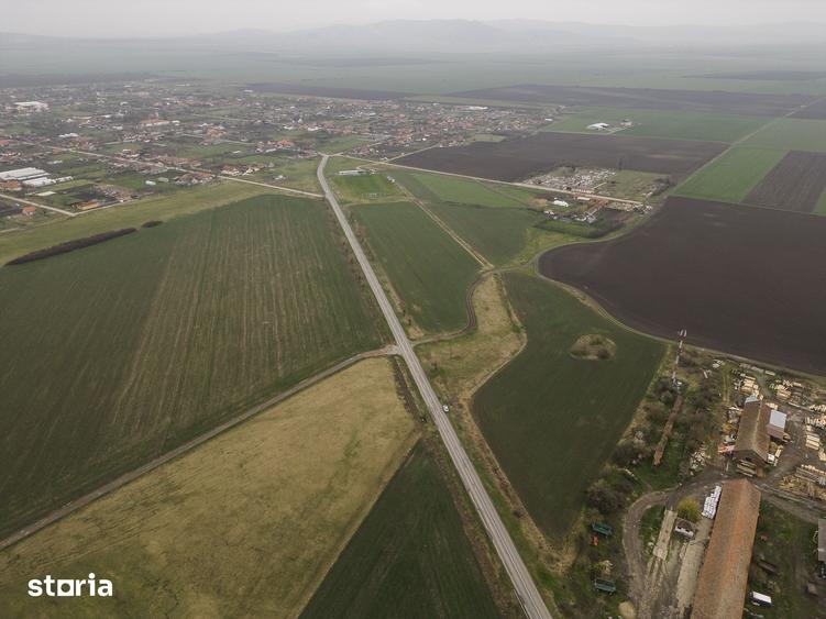 Teren 76.000mp intre Santana ?i Caporal Alexa - 6