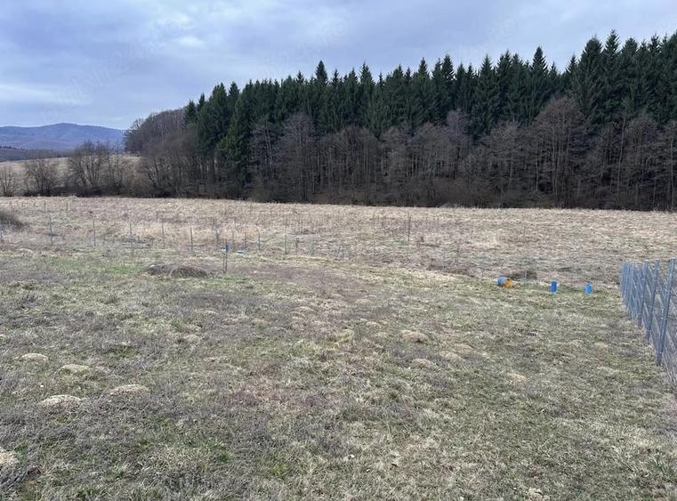 Teren de 1030 mp, în Vlădeni