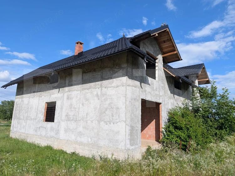 Casa Spa?ioasa la Ro?u cu 7.500 mp Teren Oportunitate Rara in Lucieni - 10