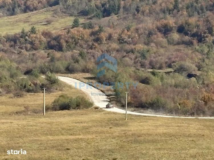 Teren | 1 ha | Pastravarie | Pensiune | Complex Agrement - 5