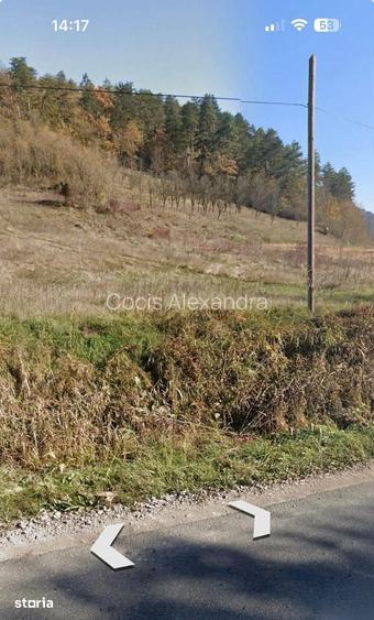 Teren de vanzare 2.900 mp | Fizesu Gherlii, Cluj | 8.700