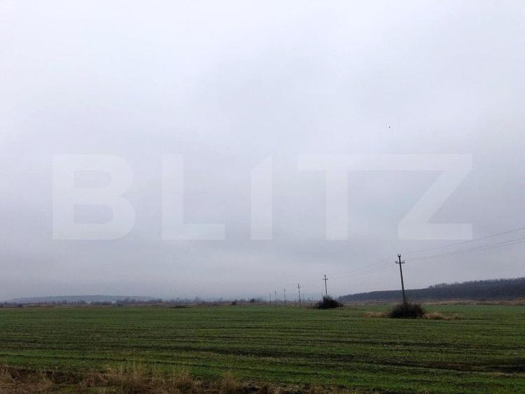 Teren Construcții intravilan de 41000 mp, în Ișalnița