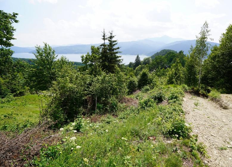 Teren agricol intravilan de 1723 mp, în Hangu