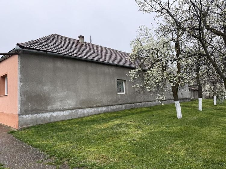 Casă cu 4 camere în Central