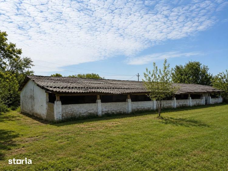 Proprietate imobiliara cu potential de dezvoltare - IMOBIHOR - 8