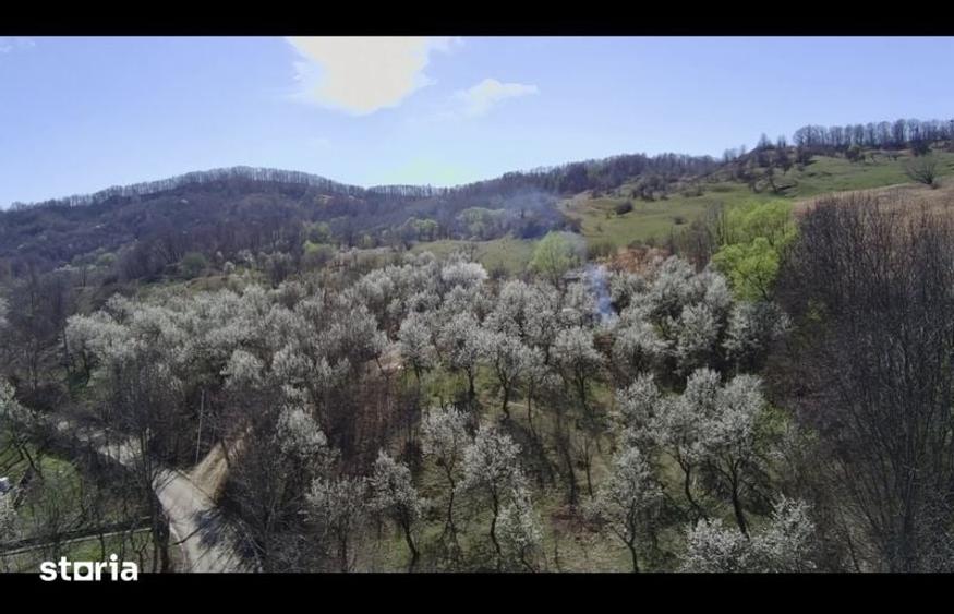 Teren de 1500 mp, în Berislăvești