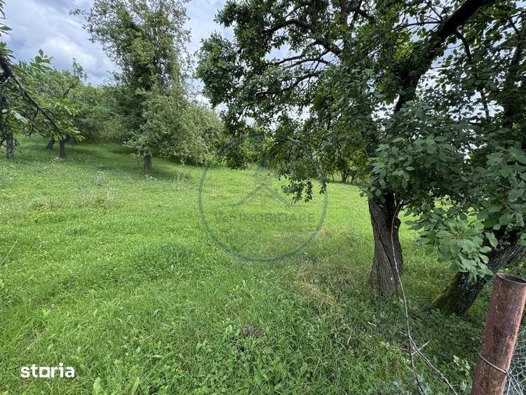 Teren intravilan | 22Ari. | Budacu de Sus, la doar 17 km de Bistrita - 3