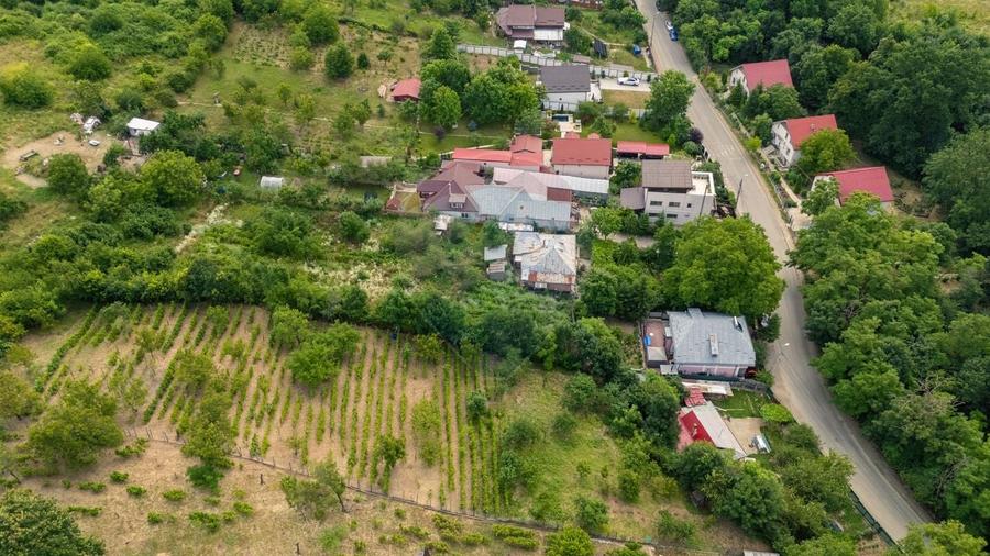 Teren Construcții intravilan de 2700 mp, în Bucium