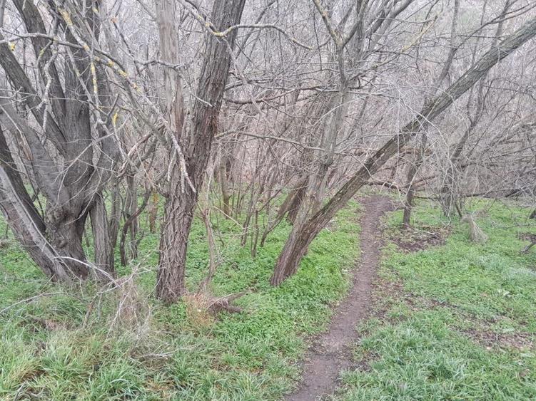Teren de 2160 mp, în Vârlezi