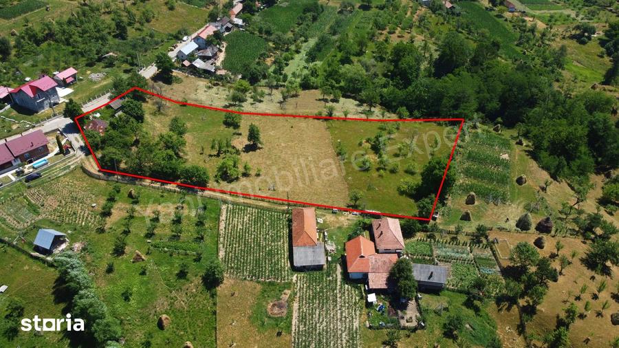 Teren de 6041 mp, în Cicănești
