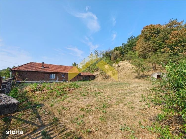 Casă cu 3 camere în Cuiaș
