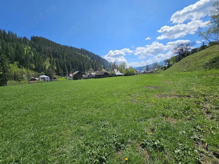 Teren de 5350 mp, în Pojorâta