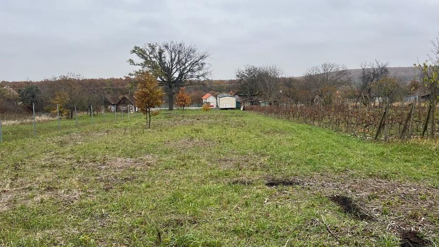 Teren Construcții intravilan de 6360 mp, în Central