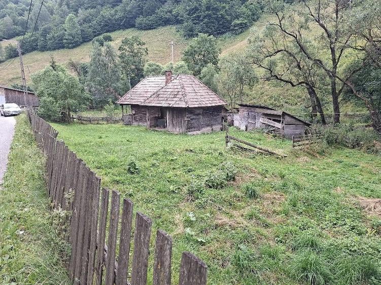 Teren de 4500 mp, în Muntele Băișorii