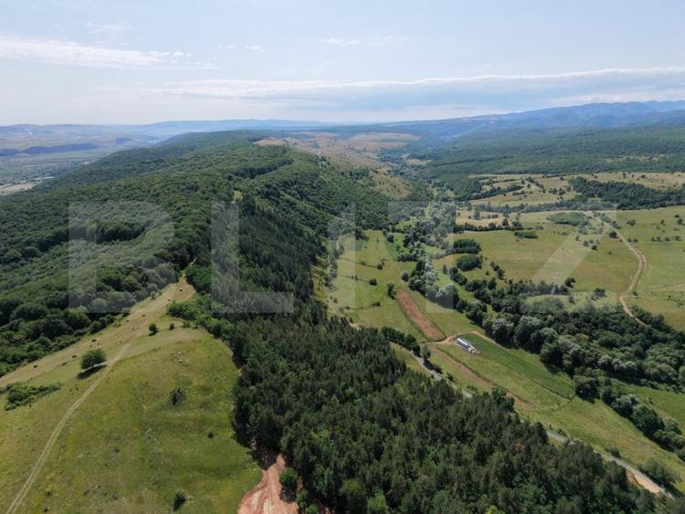 Teren Construcții extravilan de 3710 mp, în Dealu Negru
