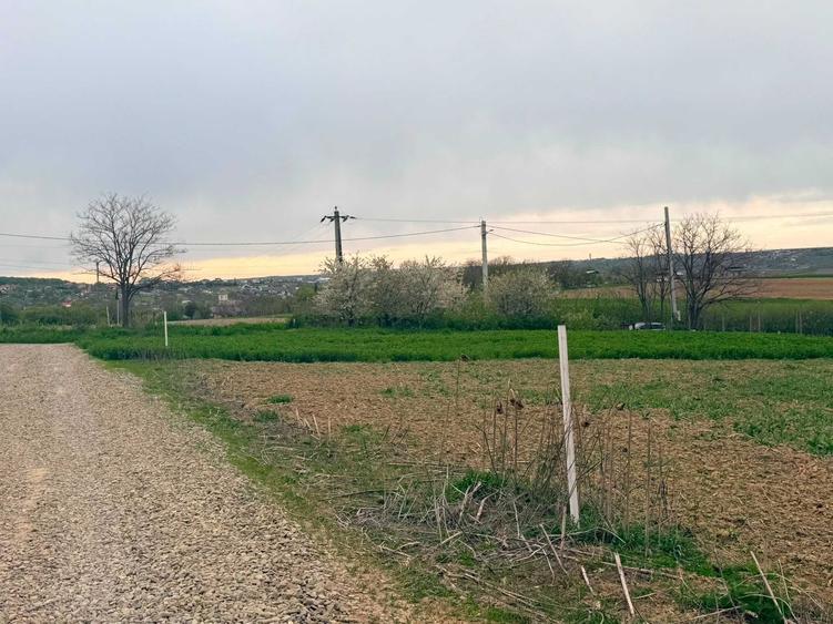 Teren de 800 mp, în Mănăstirea Doamnei
