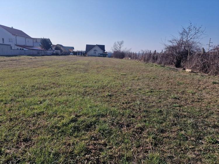 Teren de 2000 mp, în Mărăcineni