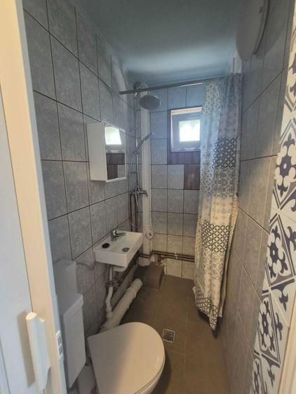 Vand Garsoniera Tip Studio Oras Buzias (Judetul Tm) - 6