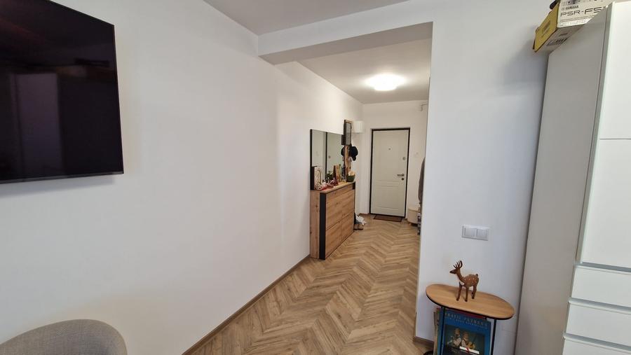 Apartament cu 1 camere decomandat, mobilat în Valea Borcutului