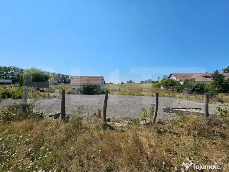 Teren intravilan, 4.000 mp, zona Vin?u de Jos - Pianu - 1