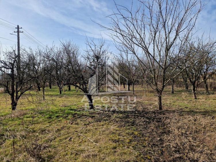 Casa individuala cu 3 camere ,teren 4222 mp in exclusivit... - 11