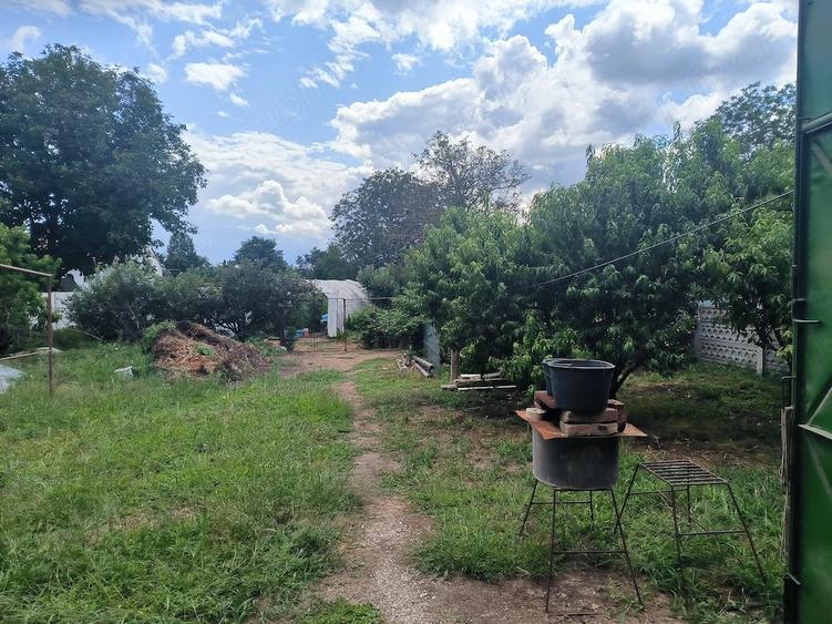 Casă cu 4 camere cu Teren 3665 Mp în Turdaș