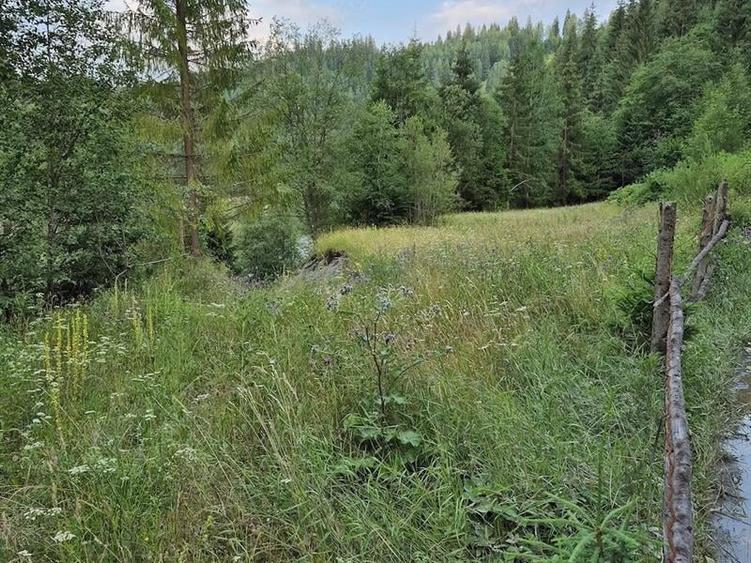 Teren agricol intravilan de 7400 mp, în Colacu