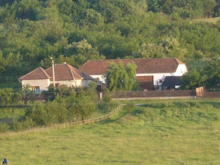 Casă cu Teren 1000 Mp în Valea