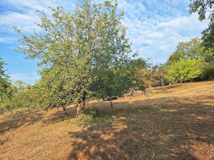 Teren de 2880 mp, în Mustești