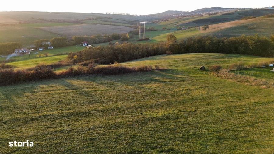 Teren pentru cabane Sibiu, Dealul Daii, direct de la proprietar - 2