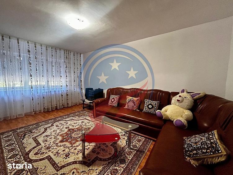 Apartament cu 2 camere de inchiriat in Lapus/Sucpi - 7