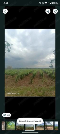 Teren de 1800 mp, în Arva