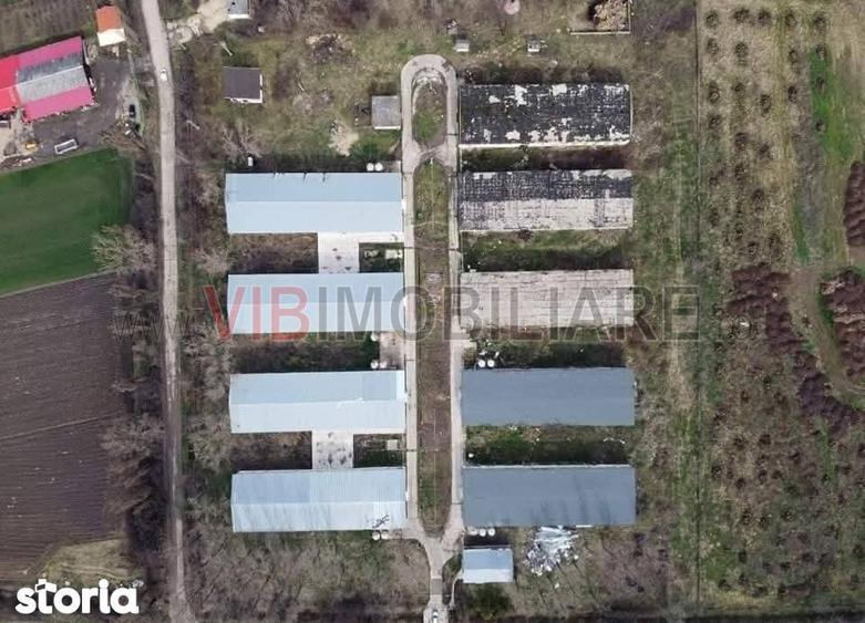 Teren de 35000 mp, în Funcționarilor