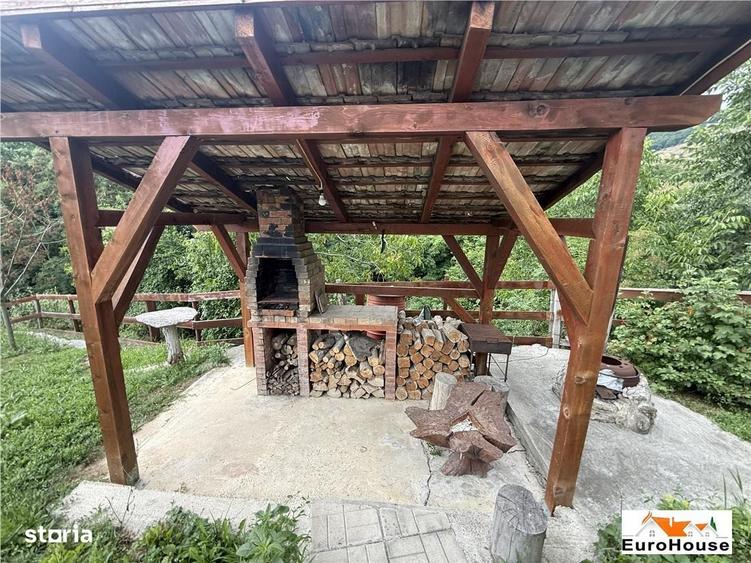 Cabana + Teren De Vanzare La 14Km De Alba - 7