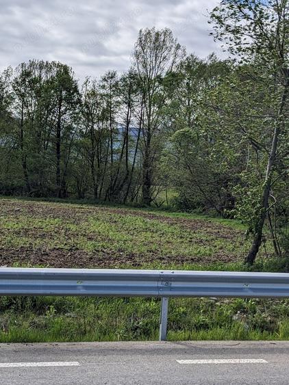 Teren în Copăcel