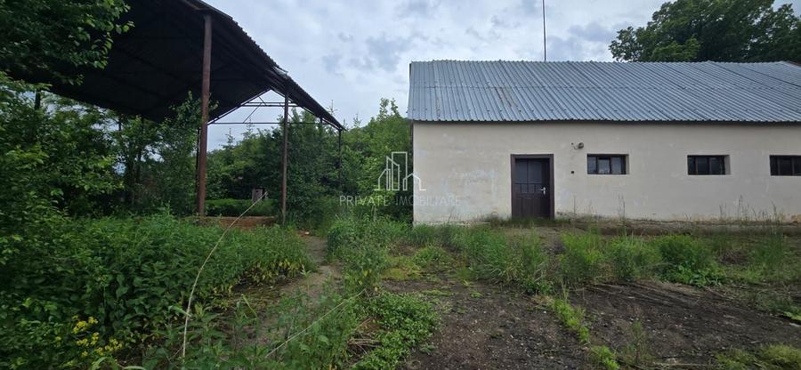 Teren agricol extravilan de 17234 mp, în Est