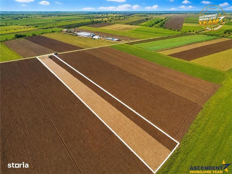 Spațiu comercial, în Central