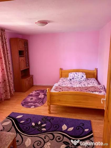 Casă cu 2 camere în Arieșeni