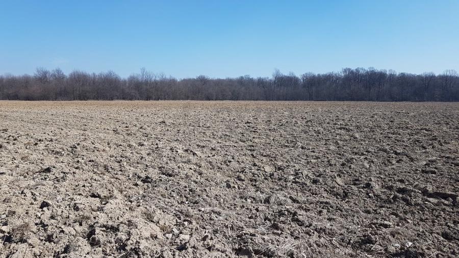 Teren Construcții intravilan de 30000 mp, în Tărtășești