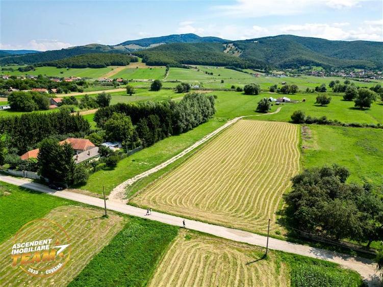 Teren Construcții intravilan de 2900 mp, în Lunca Mărcușului