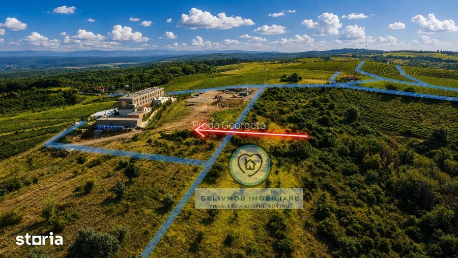 Teren 1400 mp Bucov | La limita Hill House Resort Bighilin